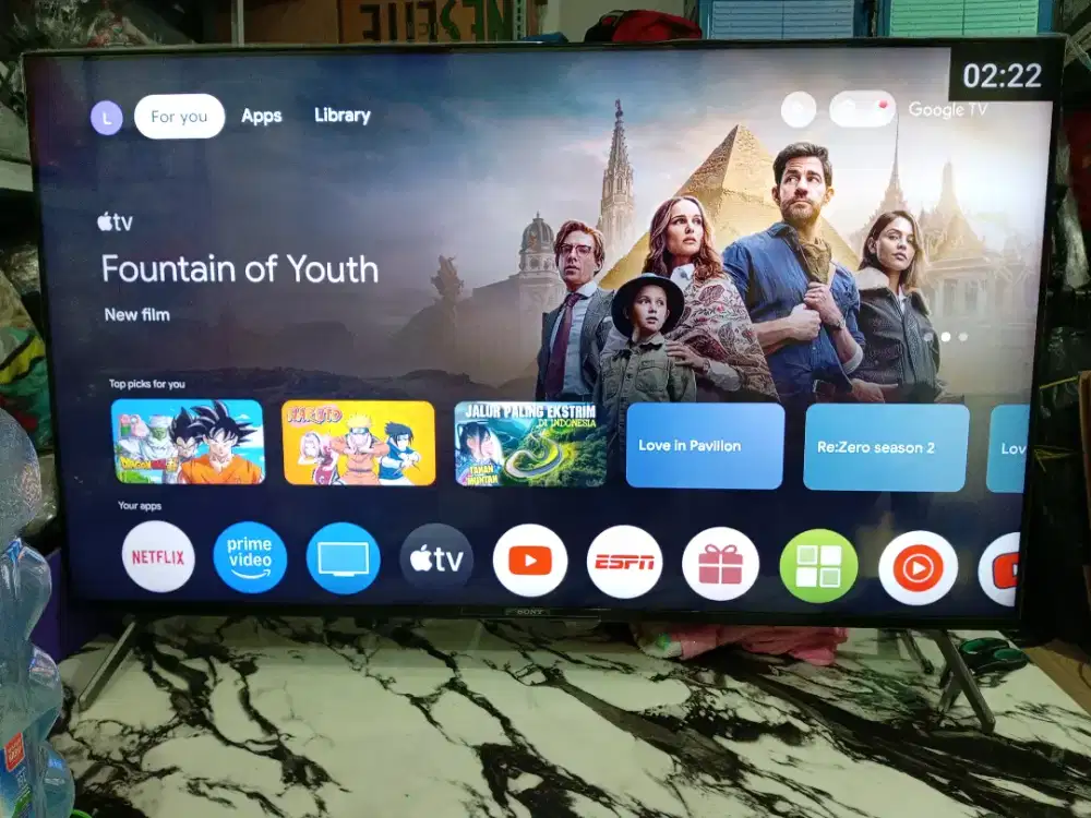 SONY BRAVIA 55inc