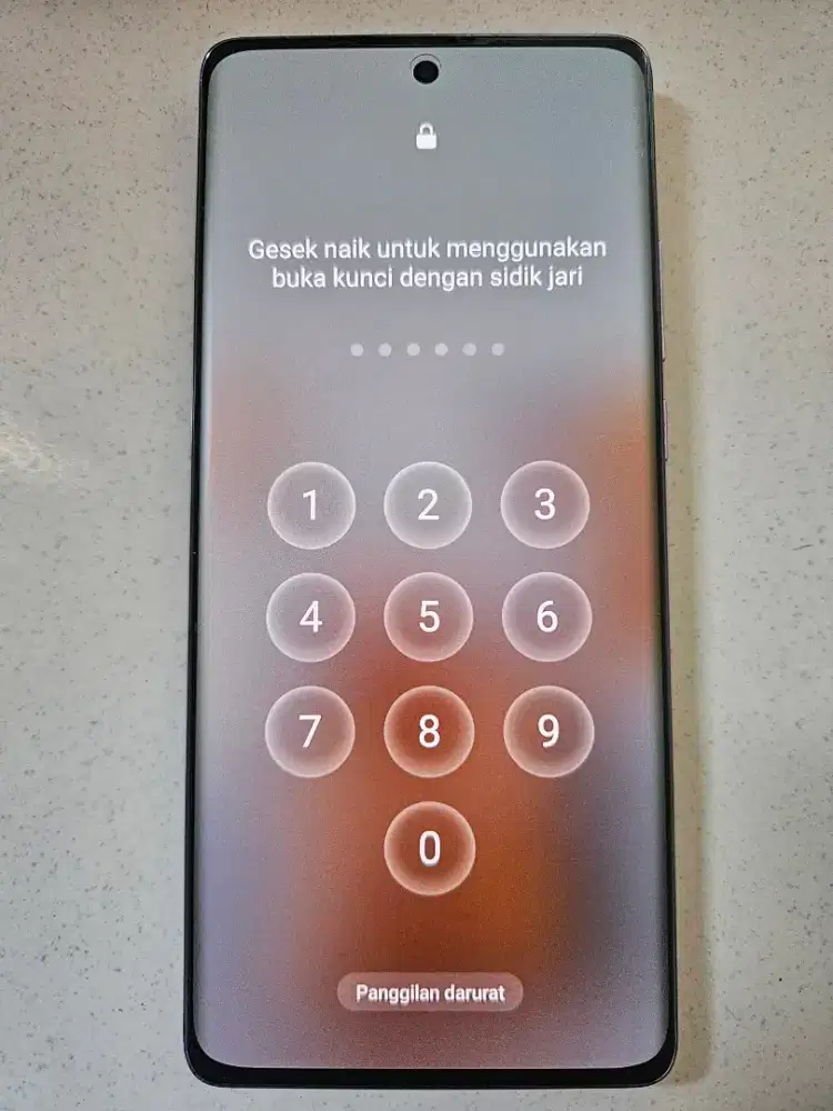 Oppo Reno 10 pro + plus 12/256