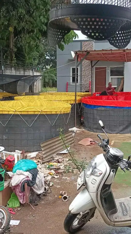 DISTRIBUTOR KOLAM IKAN BUNDAR