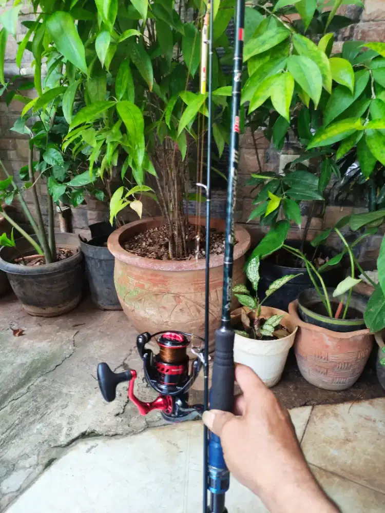 Joran pancing 1 set