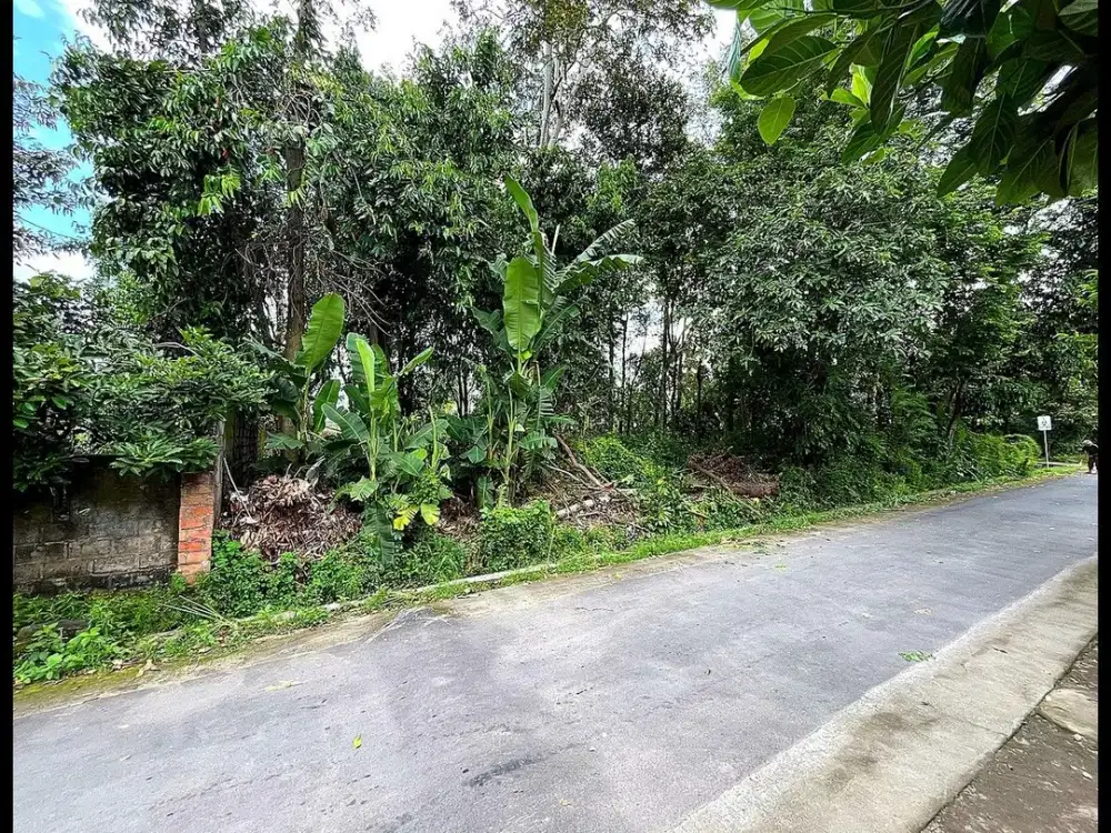 Dekat Candi Sewu Dijual Tanah Yogyakarta di Jl. Raya LPMP