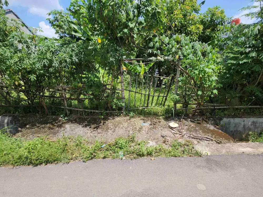 tanah deket unila datar luas 501m