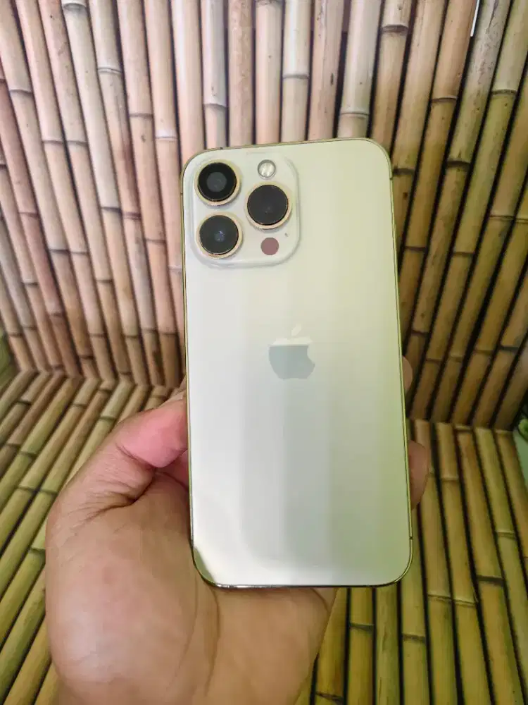 Iphone 13 Pro 256gb regist