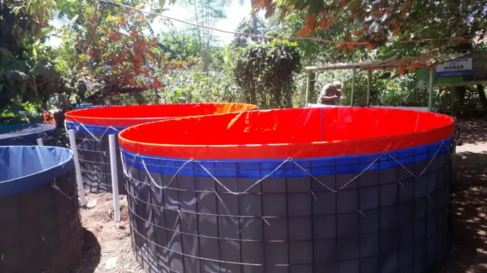 Kolam Terpal Ikan
