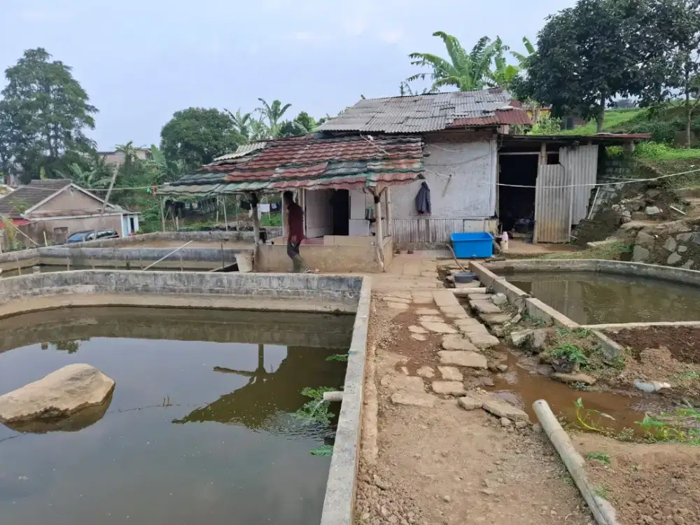 DI JUAL TANAH DAN RUMAH