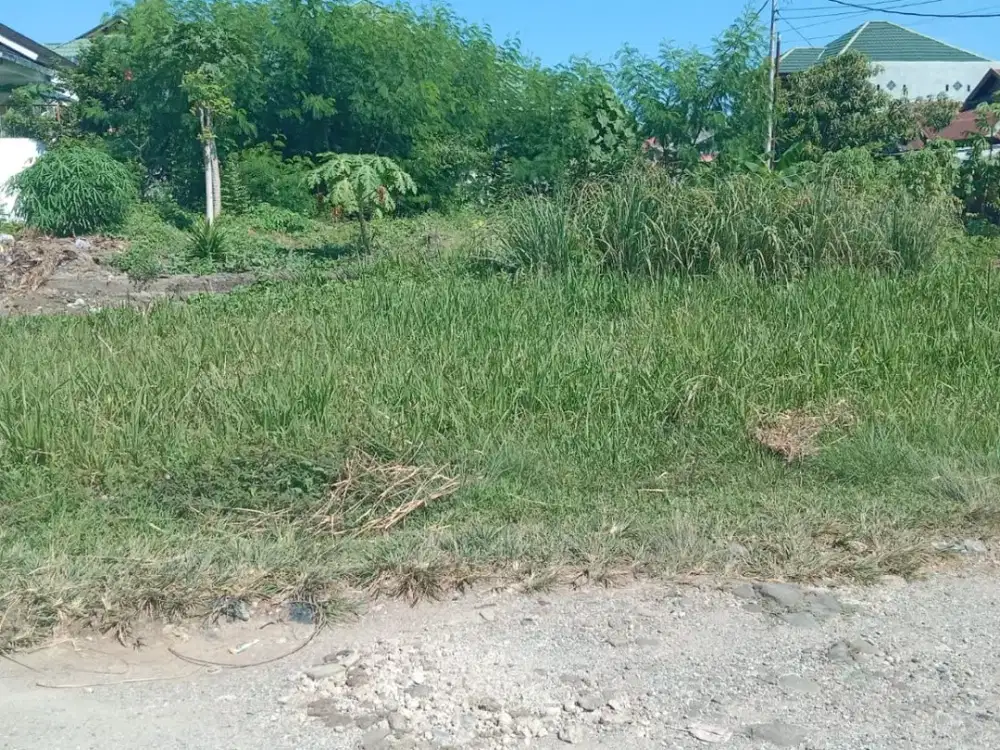 Dijual Tanah Murah Kavling Murah Dekat Polsek di Cengkeh Lubuk Begalung Padang
