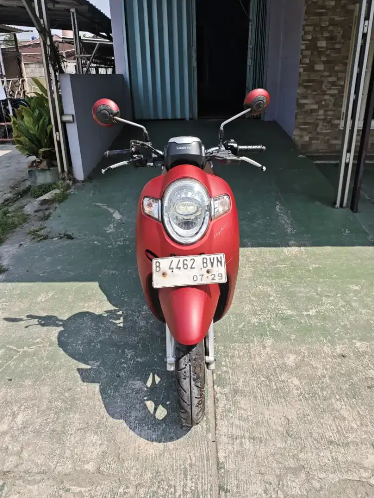 •Big sale Honda Scoopy Stylish