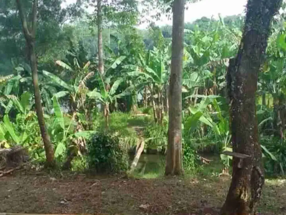Harus segera terjual kavling di daerah Cilengsi