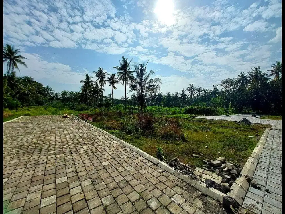 Tanah Dijual Jogja di Pengasih Dekat Terminal Wates