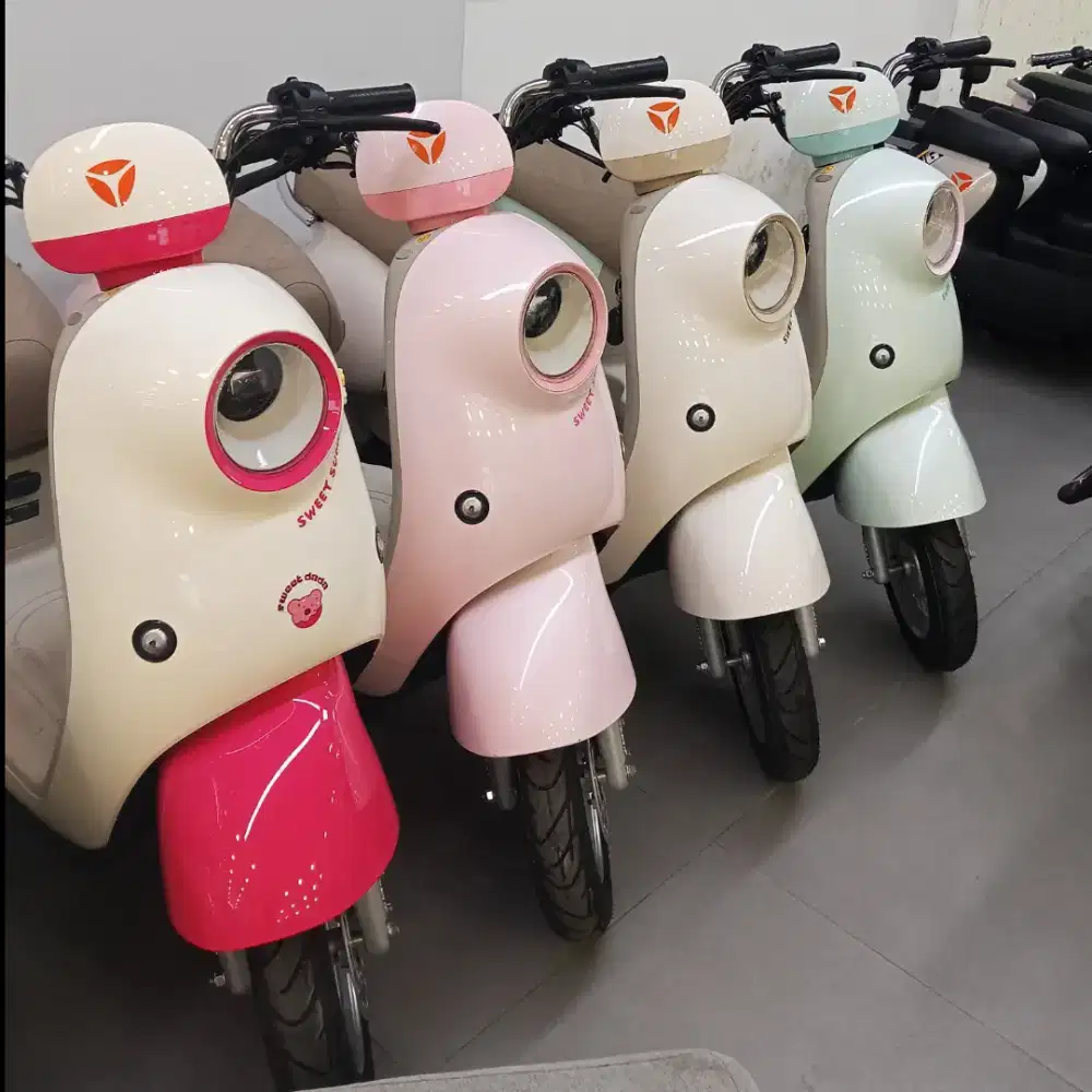 Sepeda Listrik Bike Baru New
