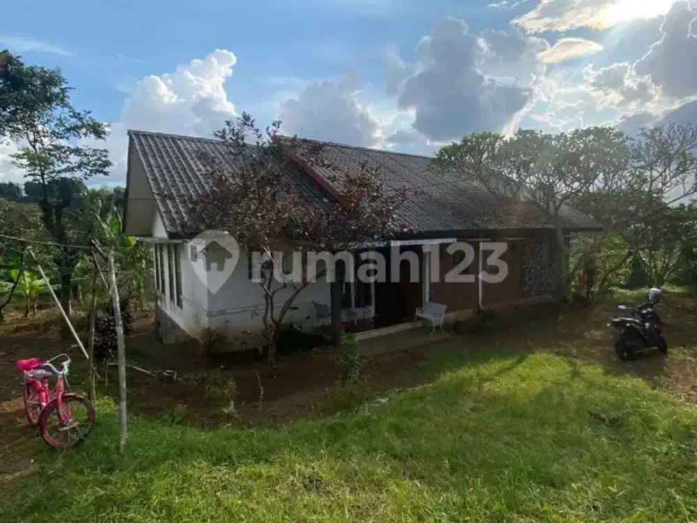 Tanah Bonus Bangunan Villa di Caringin Ciawi Bogor Cocok utk Perkebunan, Peternakan (GV)
