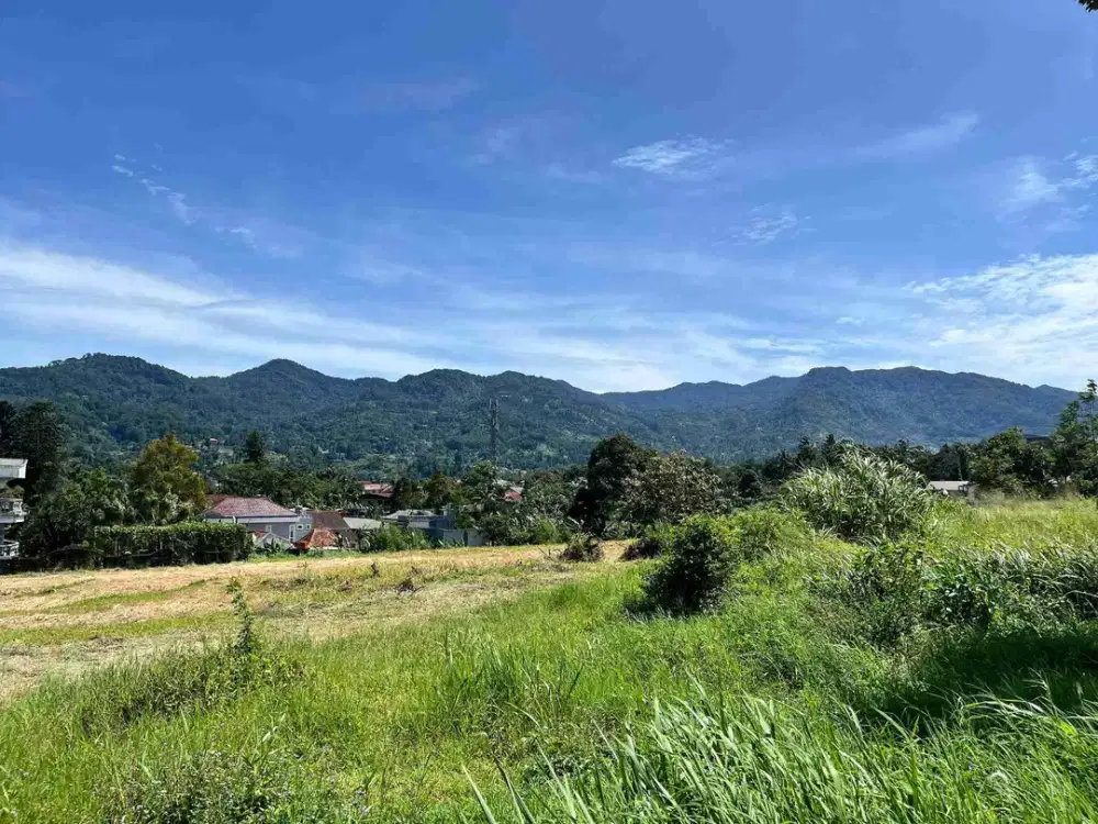 Tanah di cisarua puncak bogor dekat jalan raya