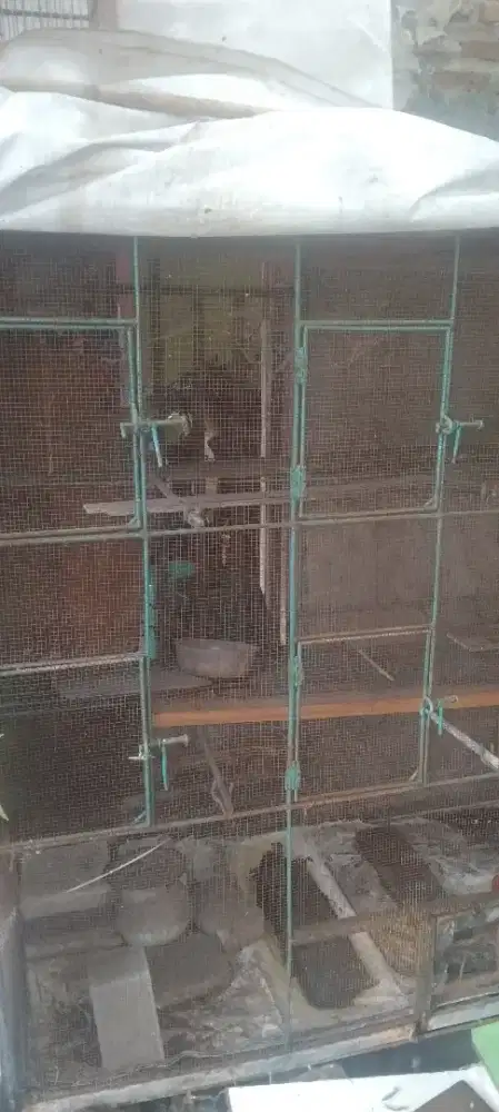 Kandang ternak burung