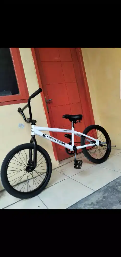 BMX 20 UNITED ROOUSE 01 TORPEDO