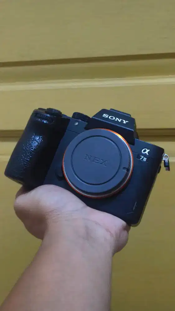 Sony a7 mark iii