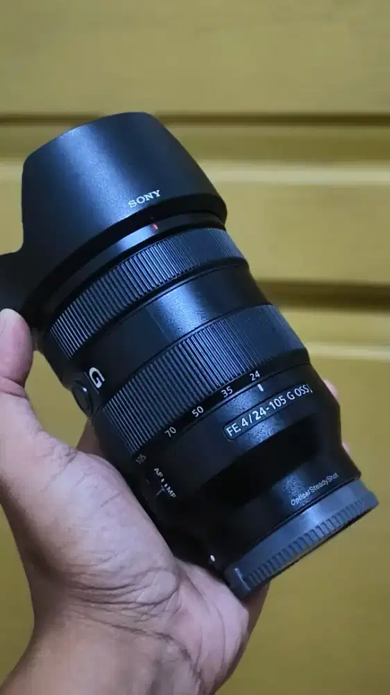 Sony fe 24 105mm f4