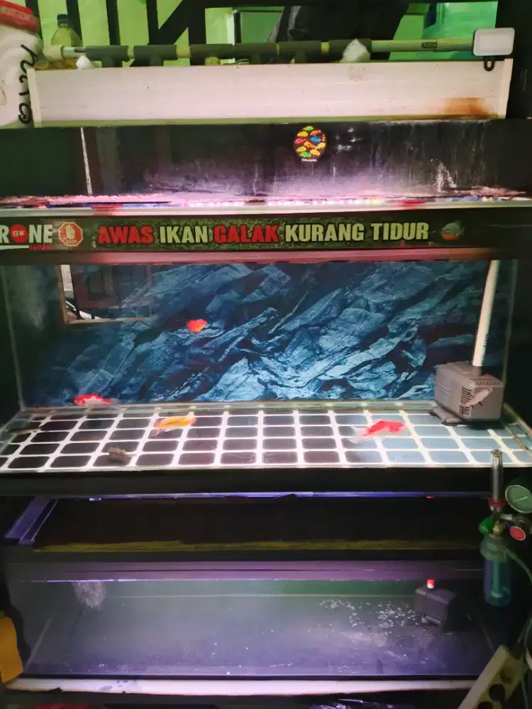 Aquarium 120cm tingkat fullset