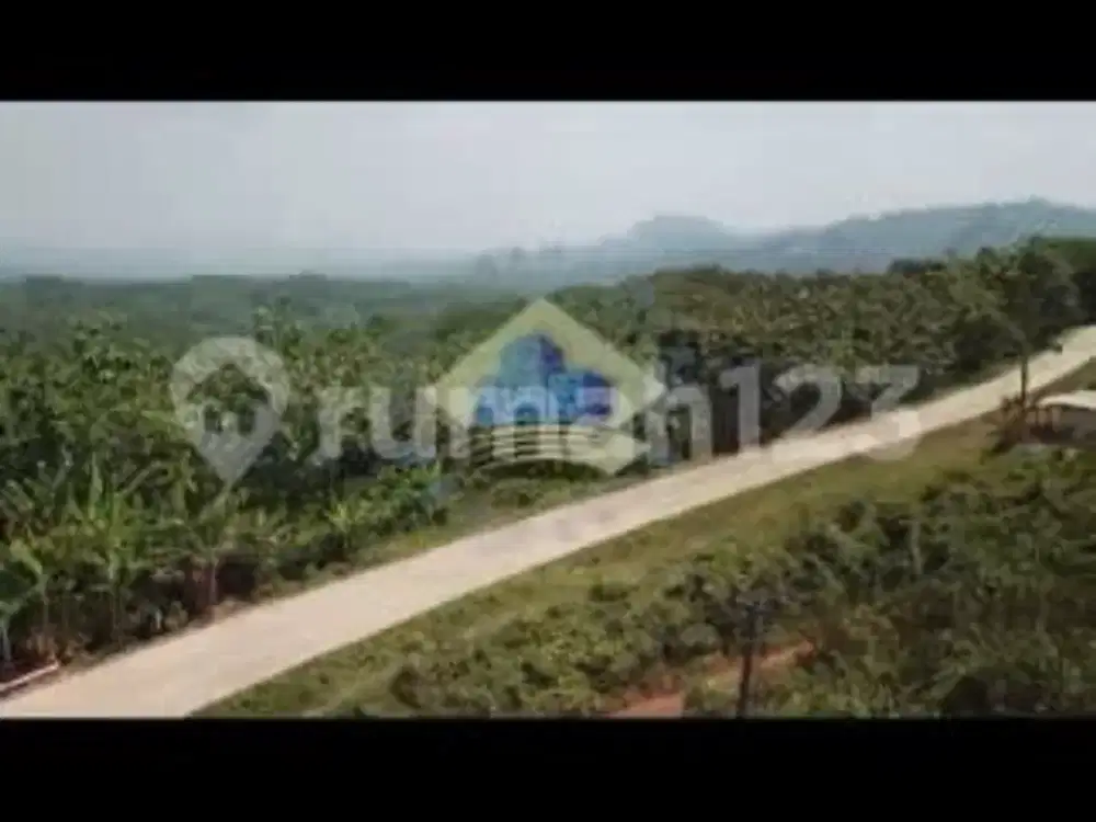 Tanah Murah Pinggir Jalan Lebak Banten