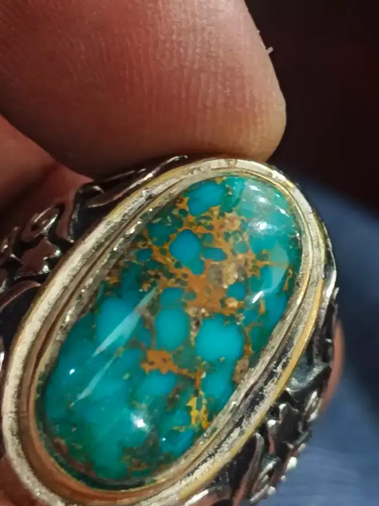 Pirus persia hijau urat emas