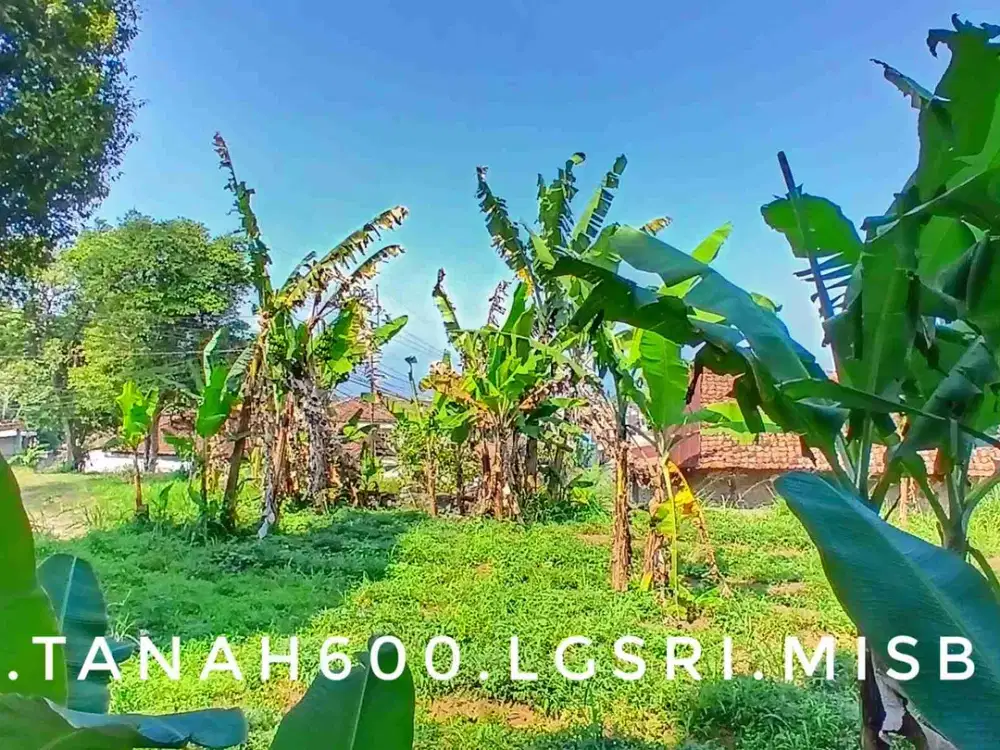 Dijual tanah matang padat datar pinggir jalan strategis akses mudah jalur hidup