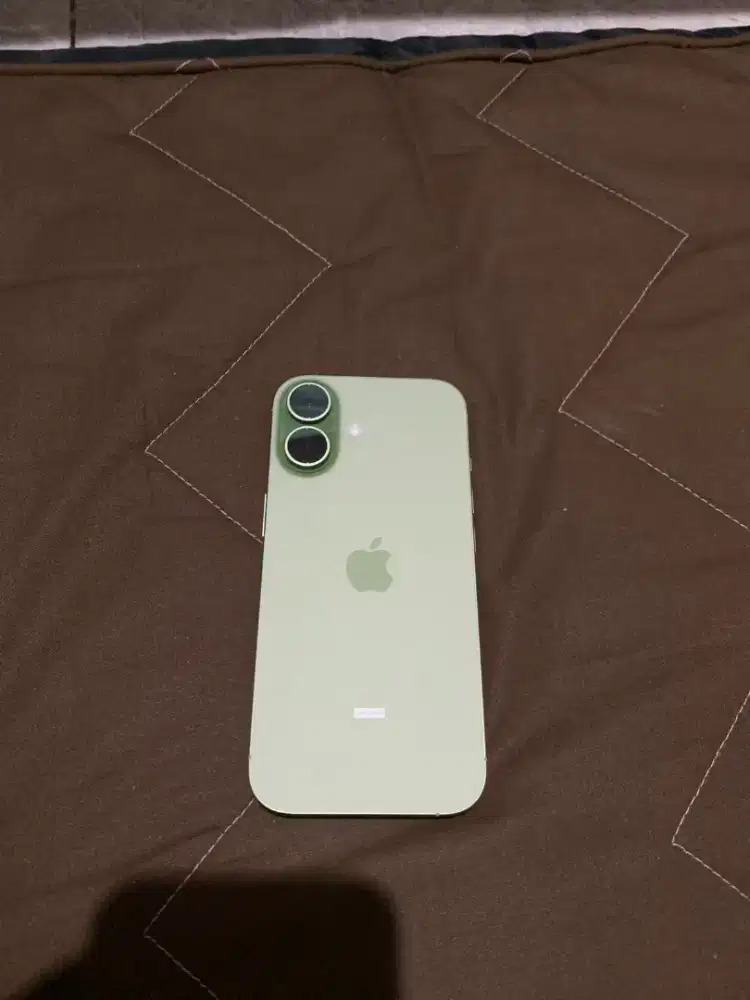 iphone 17 256 sage