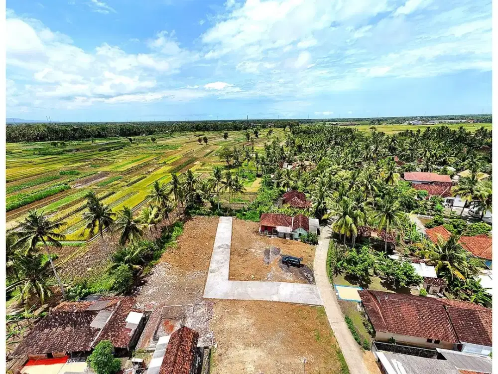 Jual Tanah Yogyakarta di Pengasih Dekat Bandara YIA