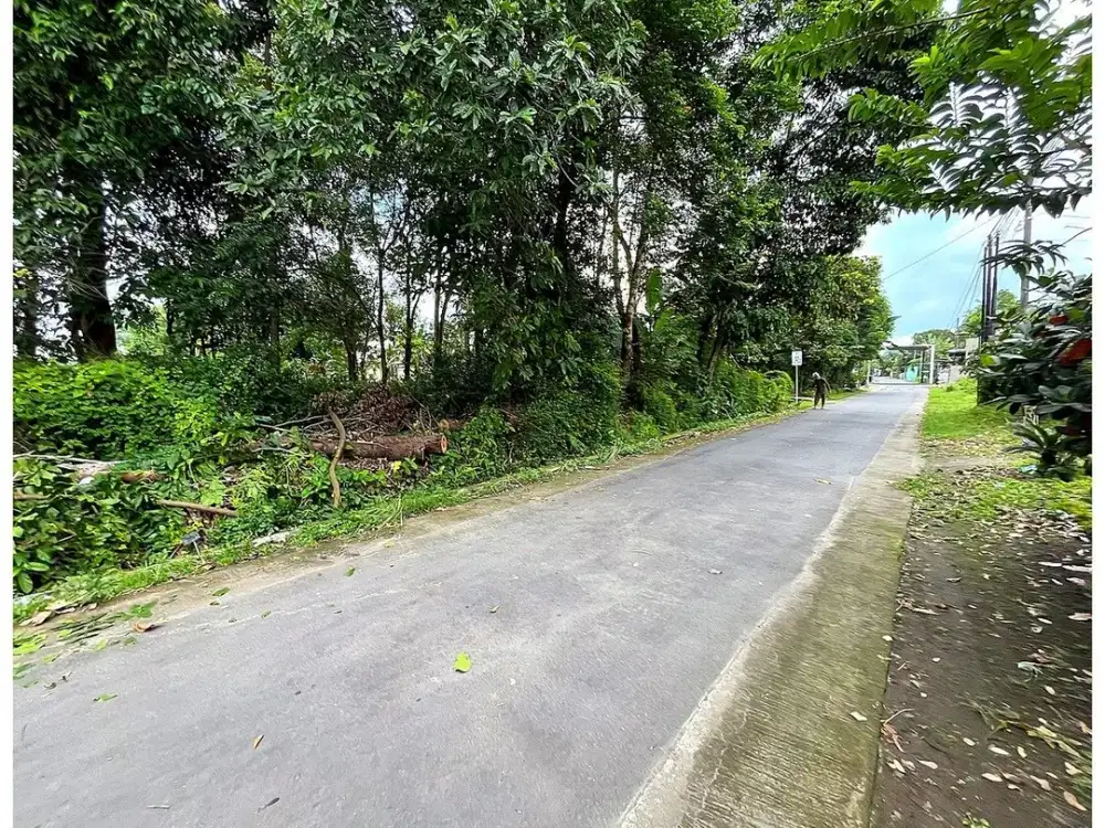 Dekat Candi Kedulan Jual Tanah Yogyakarta di Kalasan