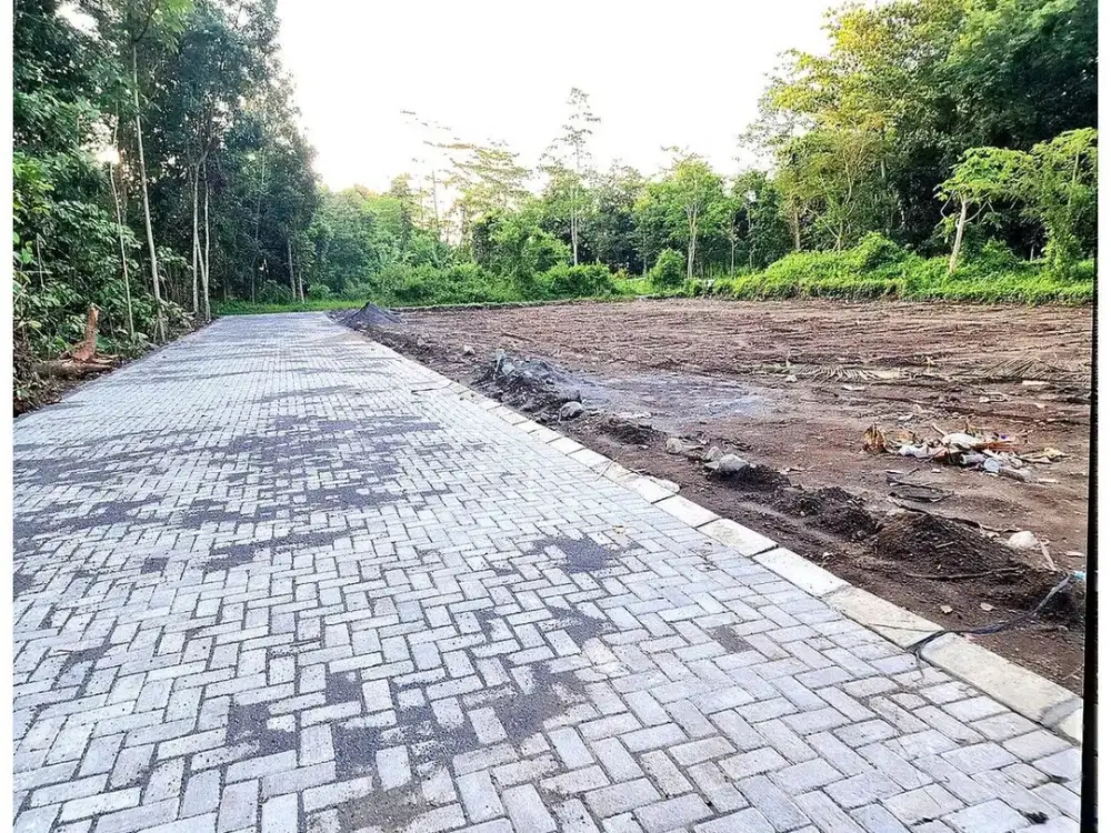 Dekat Al-Azhar Cairo Jual Tanah Yogyakarta Pandanaran