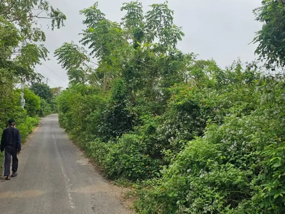 Dijual Tanah Hook di Green Bowl Kutuh Dekat Pantai Pandawa dengan Akses Aspal dan Legalitas Lengkap
