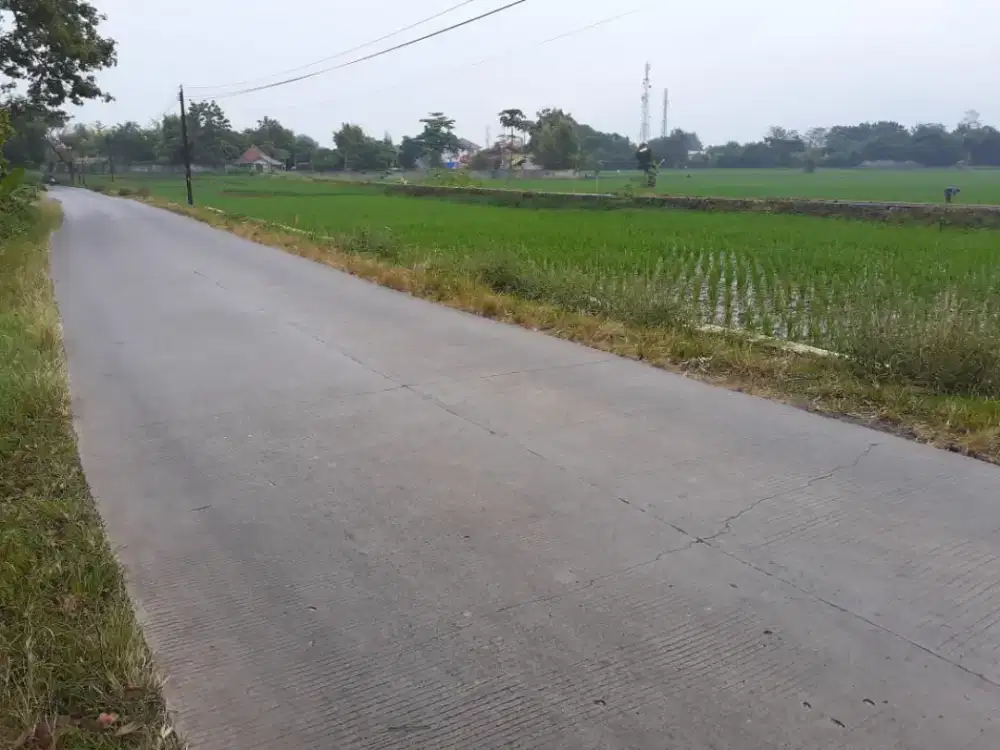 Dijual cepat Sawah