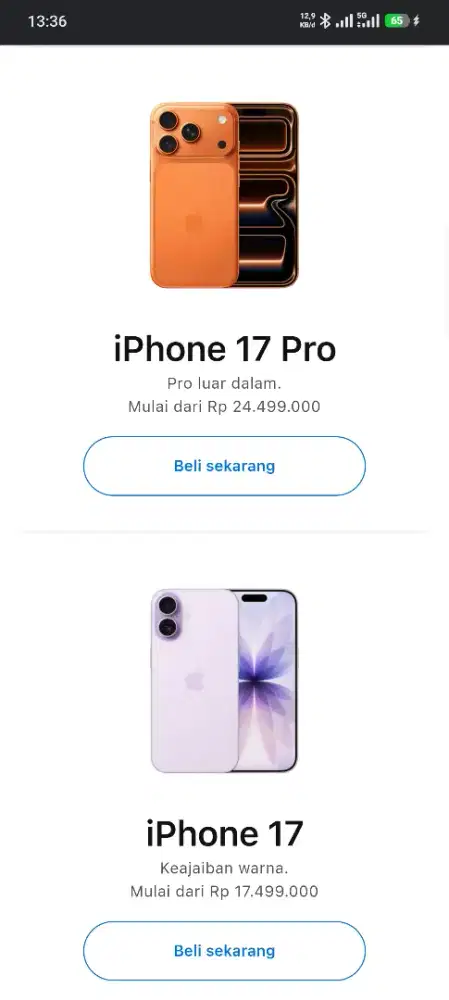 APPLE IPHONE 17