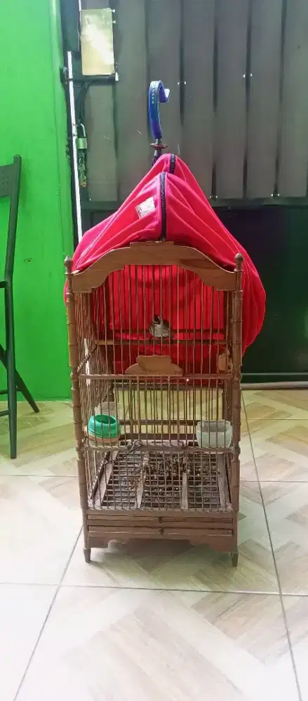 Kandang burung kotak uk2
