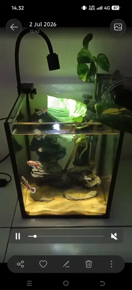 Aquarium mini full set