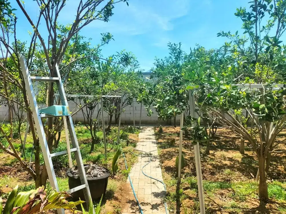jual tanah diperumahan graha dewata