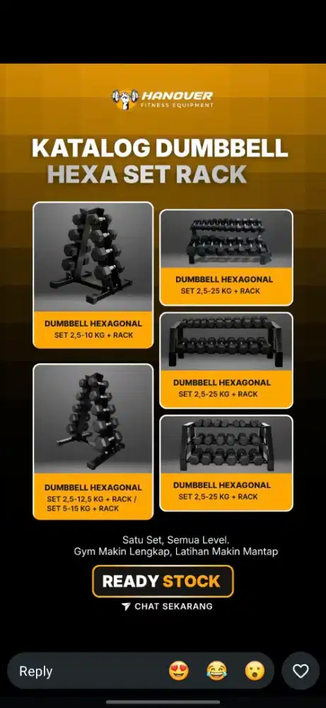 Dumbbell hexagonal set 2,5 - 30 kg barbel dumbbell