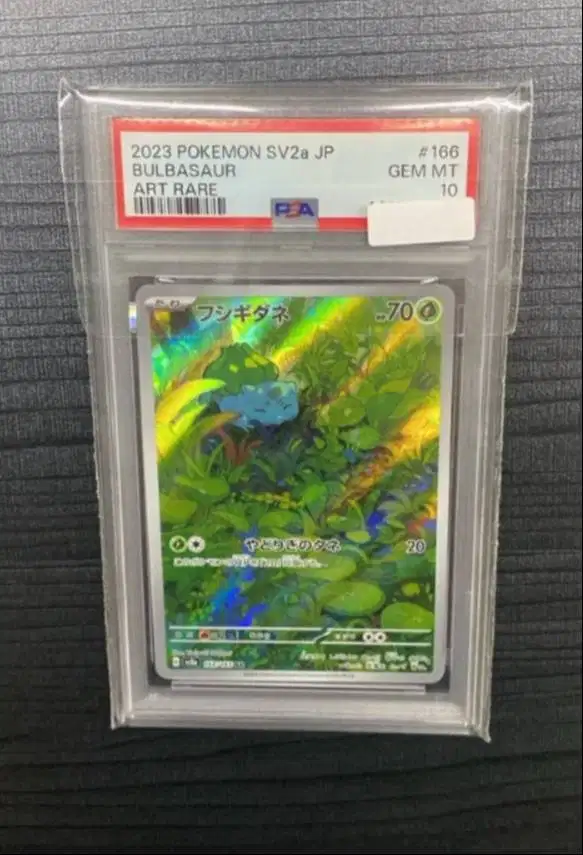 Katu Pokemon Slab 2023 Bulbasaur Art Rare PSA 10