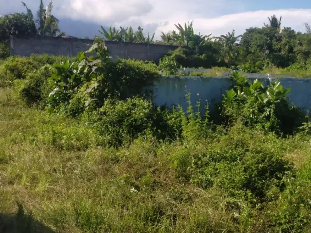 Tanah luas di kawasan Bocek, Karangploso. Dekat dengan UMM, Sengkaling, RS Universitas Muhammadiyah Malang, dan Exit Tol Karanglo. NLMLG00002