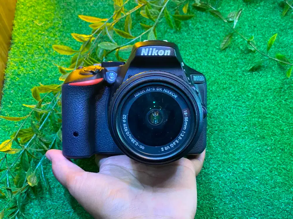 Kamera Nikon D5500