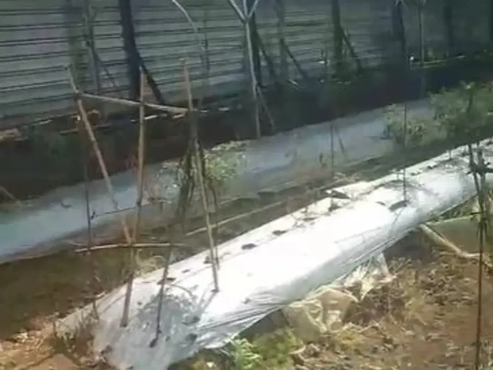 DIJUAL TANAH DEKAT TAMAN BUNGA NUSANTARA