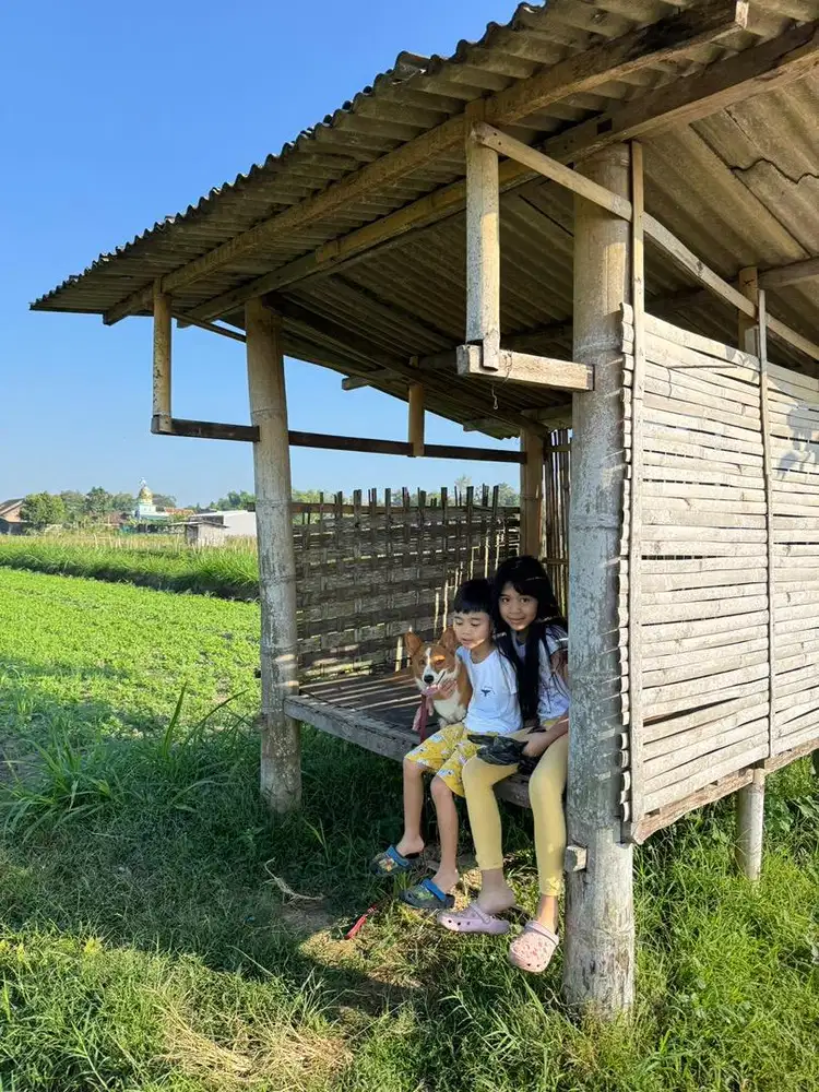 Lowongan Asisten Rumah Tangga
