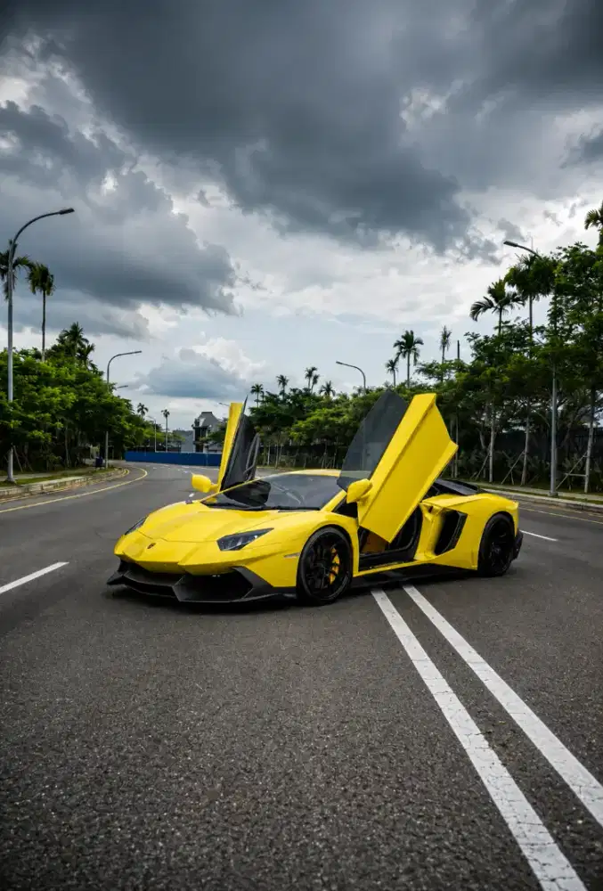 AVENTADOR ATPM 50th Anniv LP 700-4 2013 / 2014 Kuning aventador
