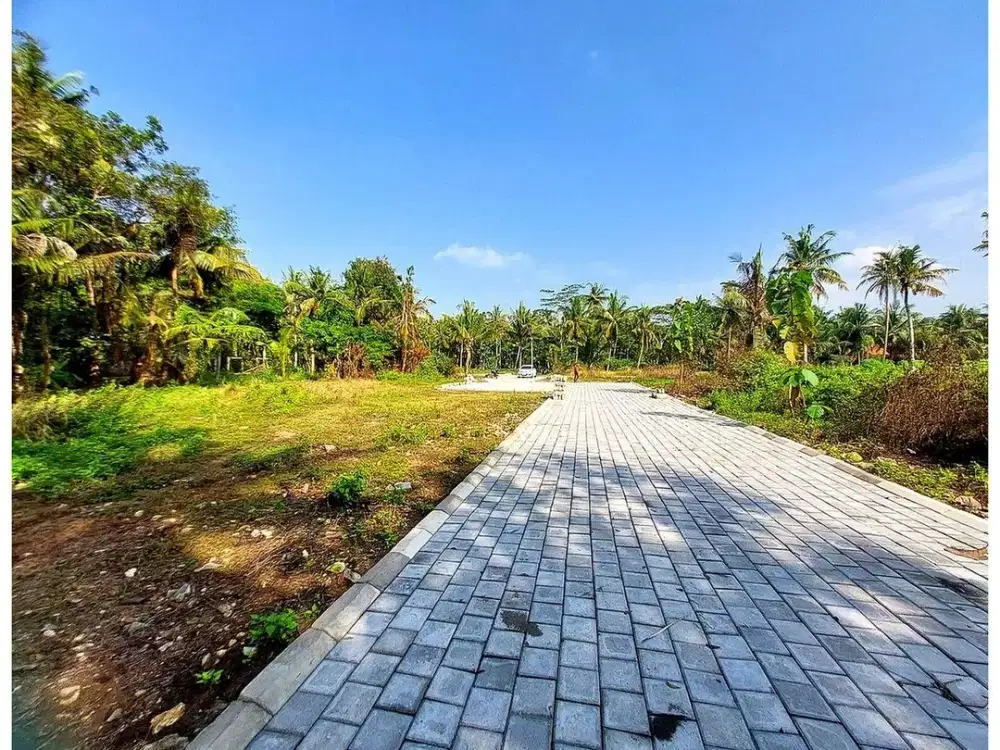 Tanah Dijual Jogja di Jl. Kyai Ronggo Dekat Bandara YIA