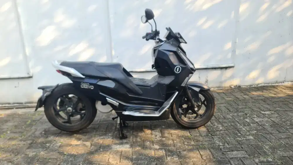 Alva Cervo 2023