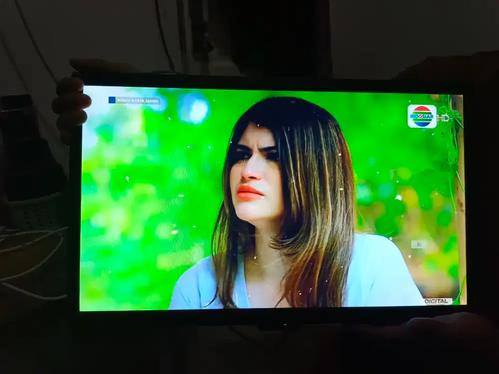 TV weyon 25 inch