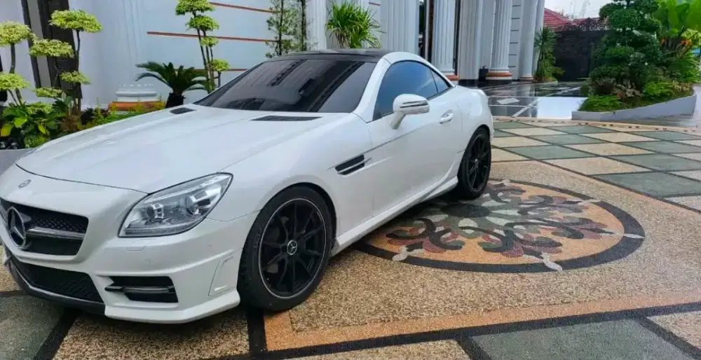 Mercedes Benz SLK250 1.8 Bensin AT (2012)