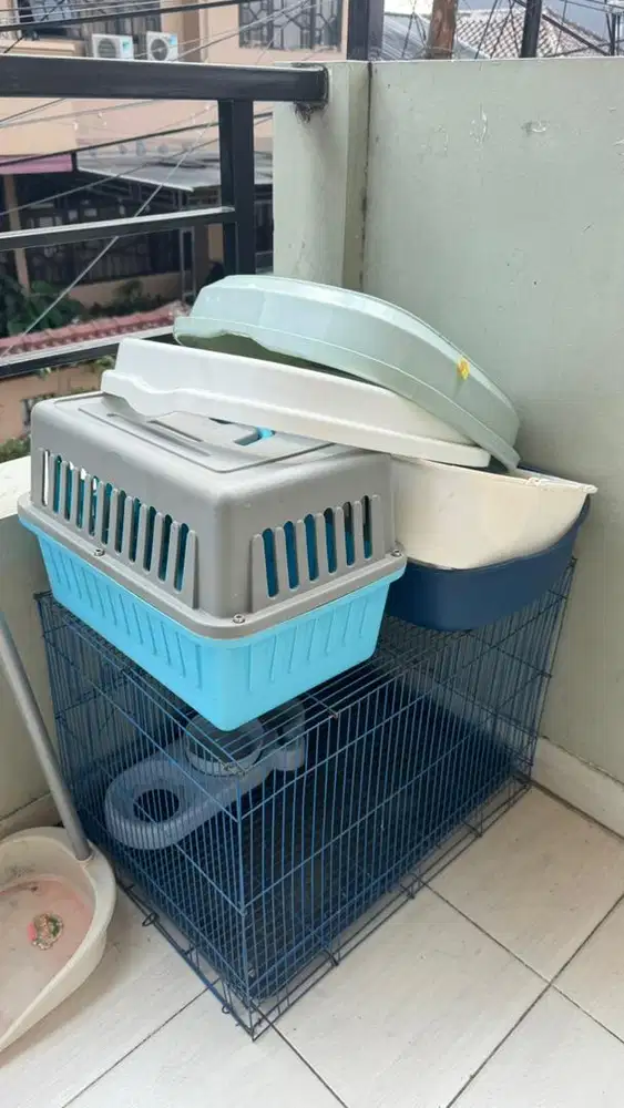 Peralatan Kucing