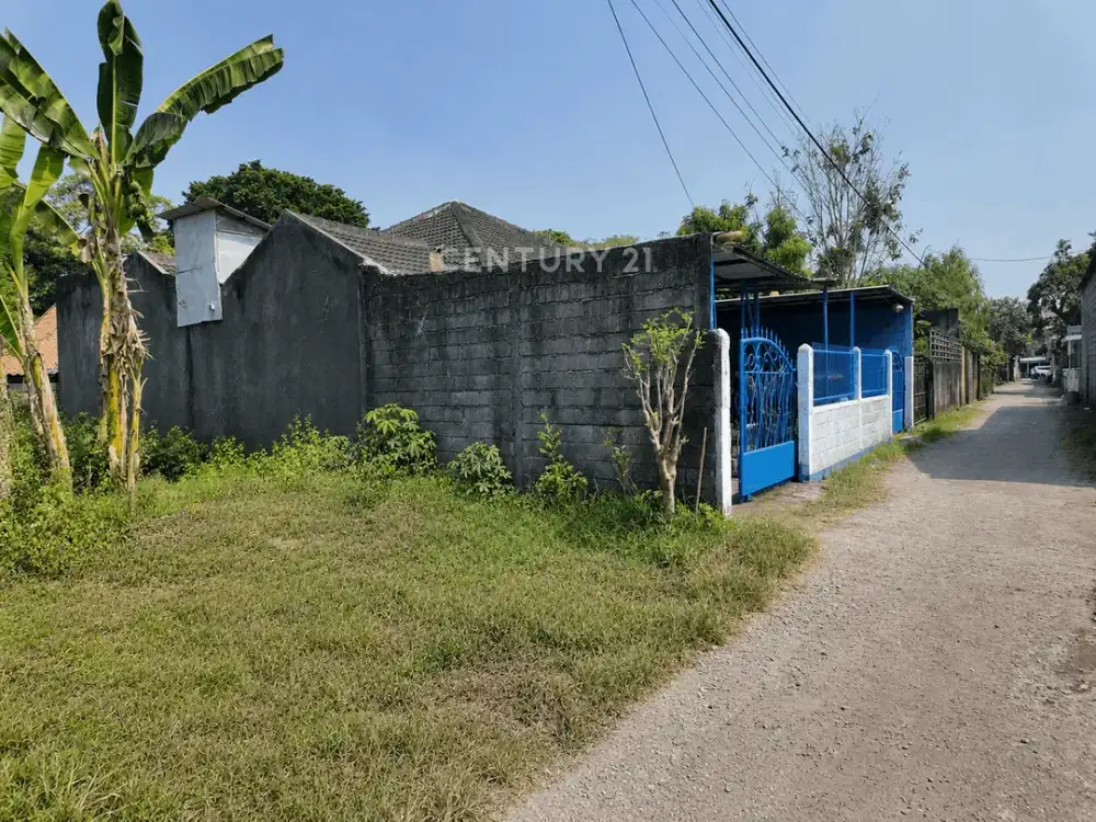 Rumah Bahan Tanah Luas Untuk Hunian Custom Di Tlogoadi