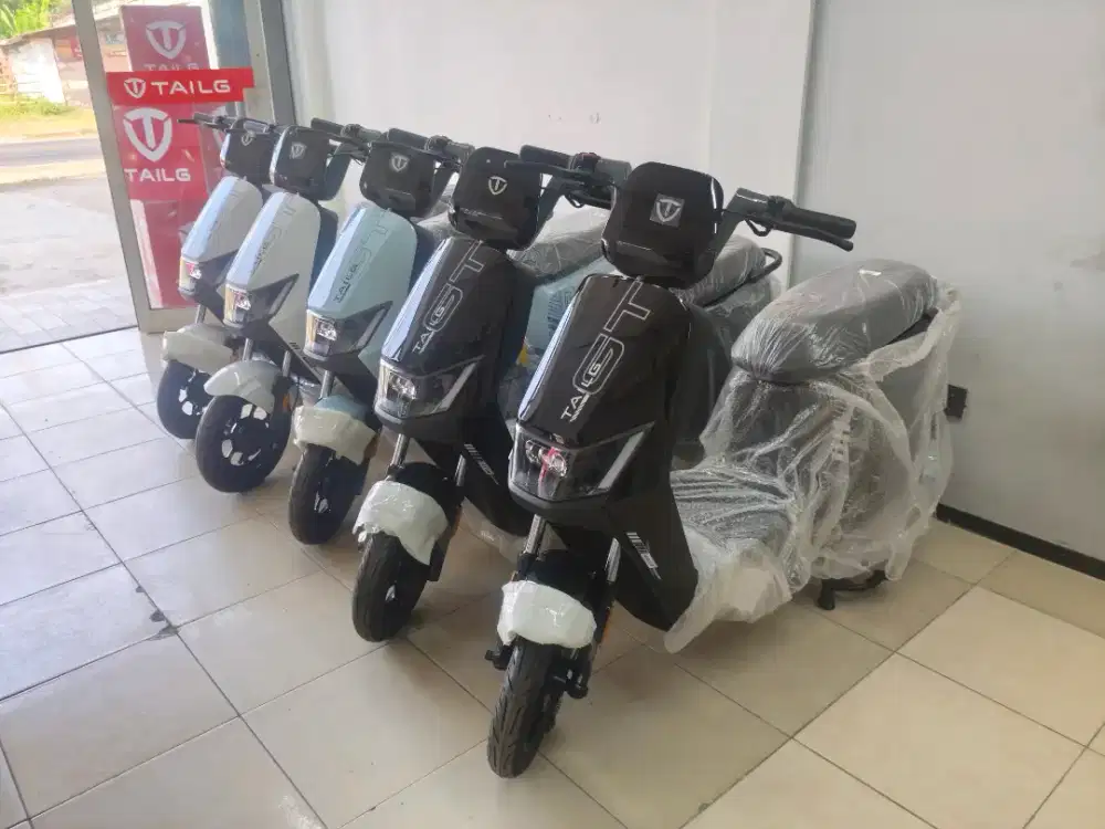JUAL SEPEDA LISTRIK TAILG GT58