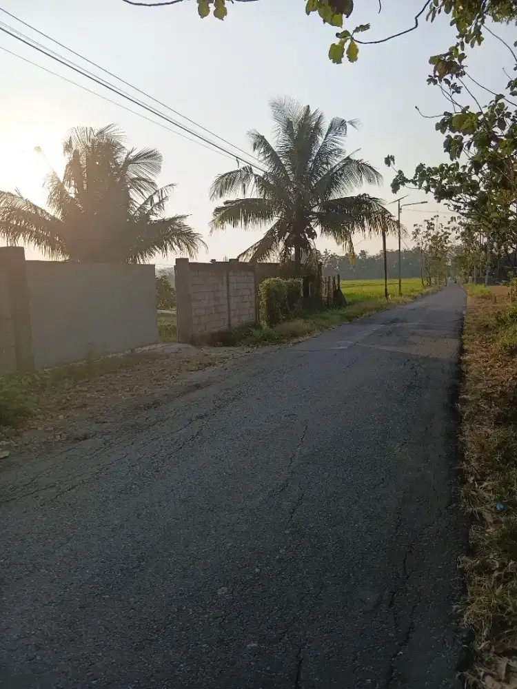 Tanah SHM 2600m Pinggir Jalan Kabupaten