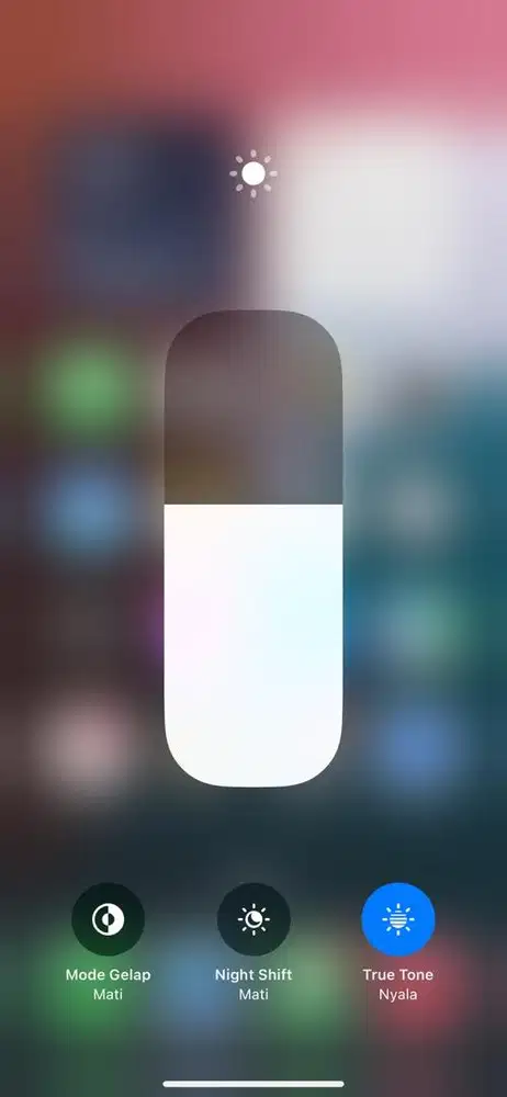 iPhone Xs Max 256 iOs 18.7.9